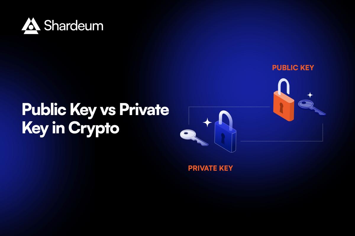 Difference Between Public Key and Private Key in Blockchain