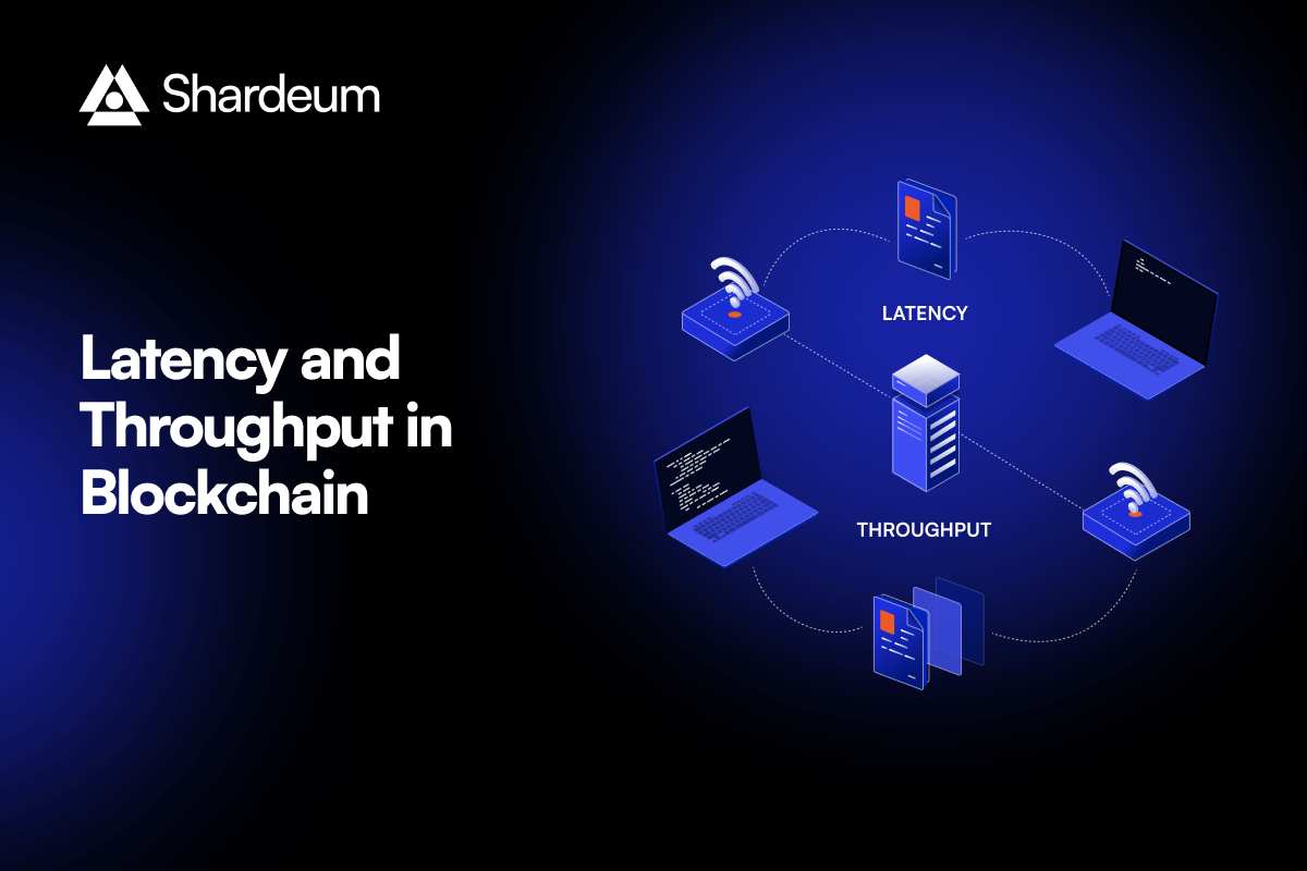 Understanding Latency and Throughput in Embedded, Computer, and Blockchain Networks