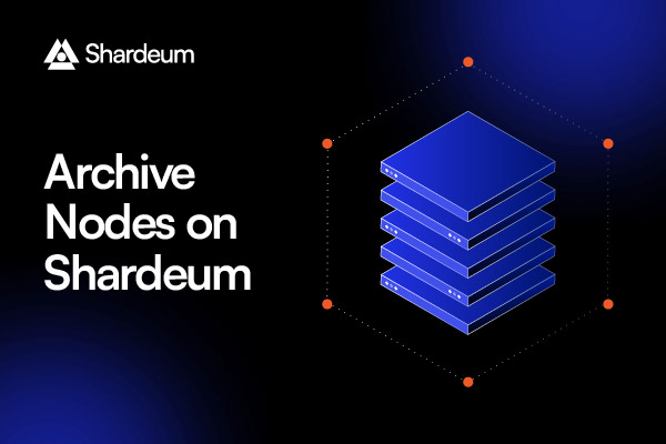 Archive Nodes on Shardeum