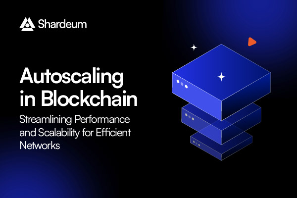 Autoscaling in Blockchain: Streamlining Performance and Scalability for Efficient Networks