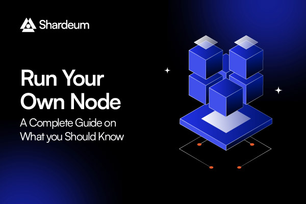 Run Your Own Node – A Complete Guide on What you Should Know