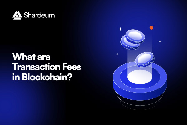 What are Transaction Fees in Blockchain?