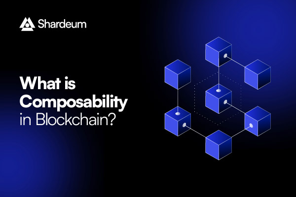 Composability in Blockchain – Types, Importance and Risk