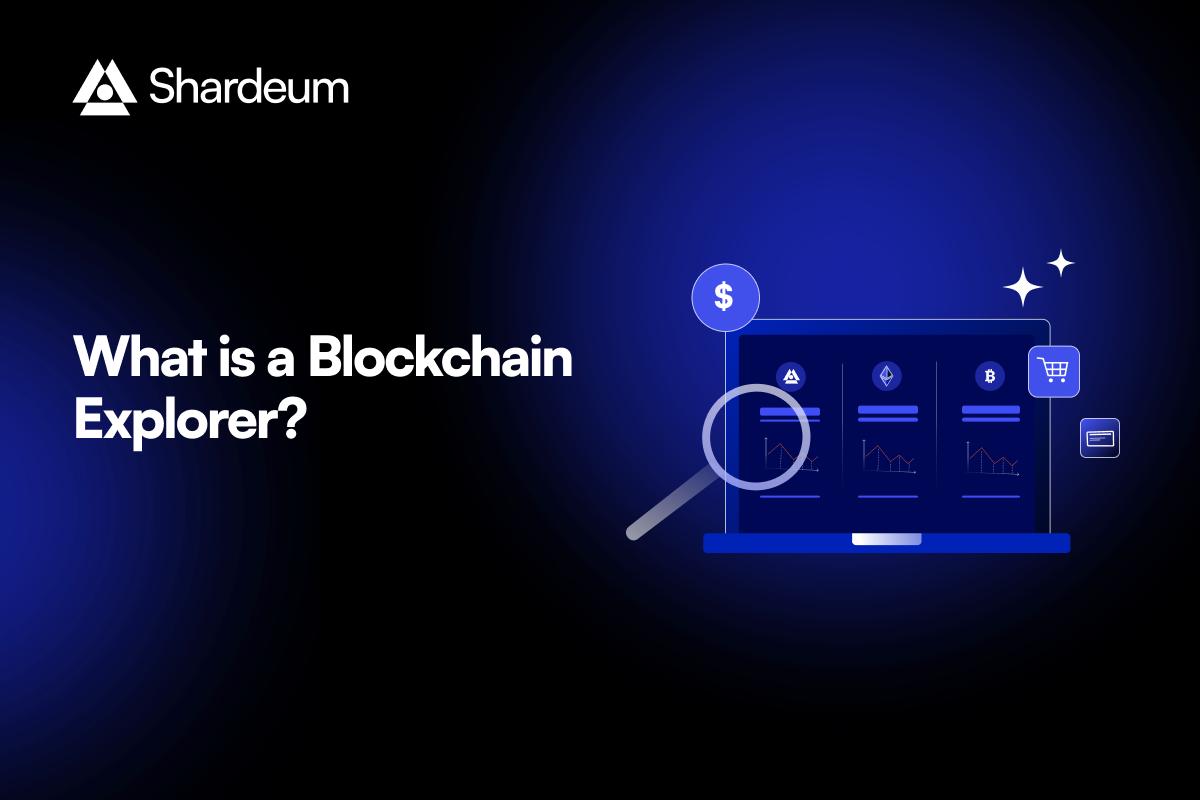 What is a Blockchain Explorer and How Does it Work?