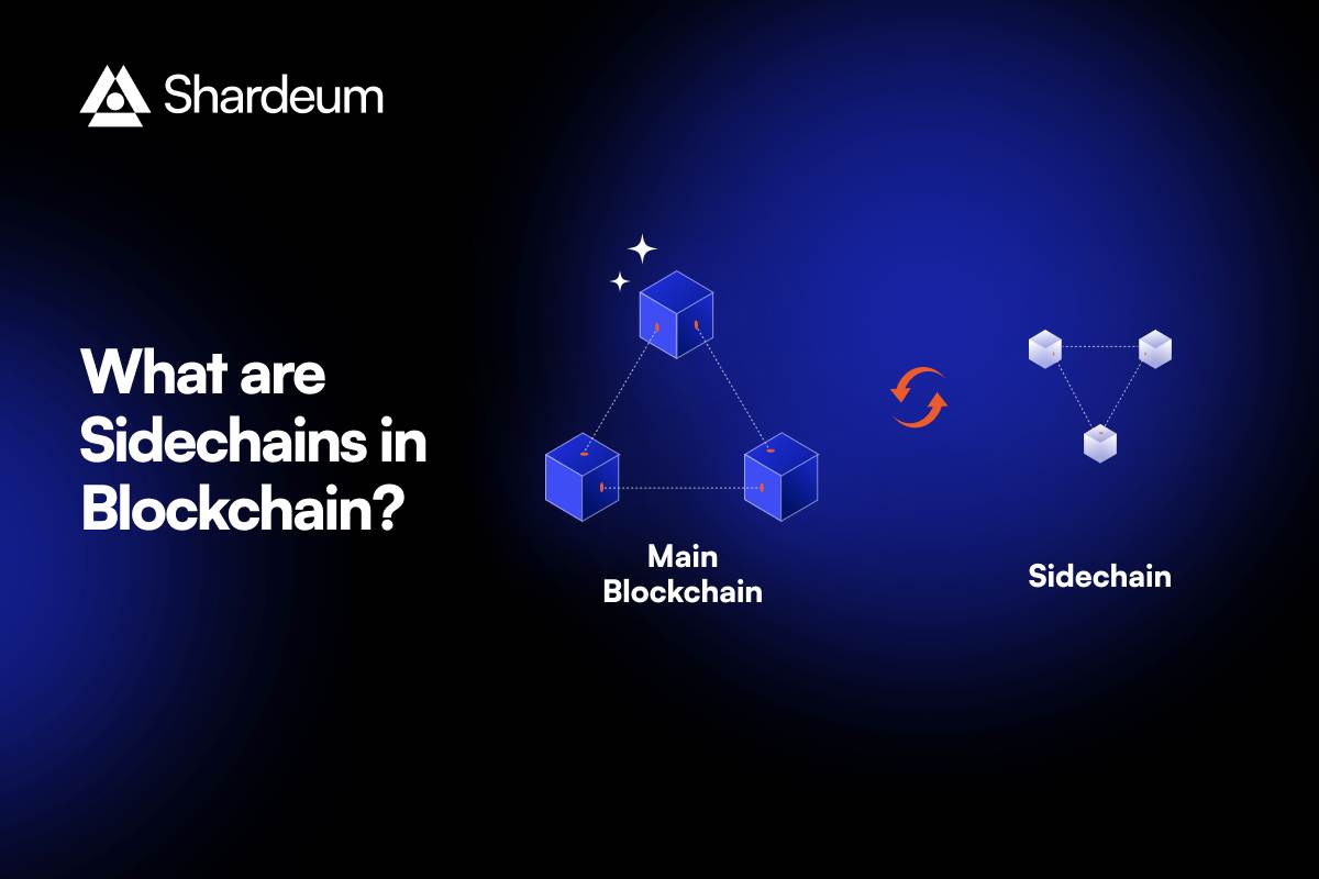 What are Sidechains? – A Detailed Guide