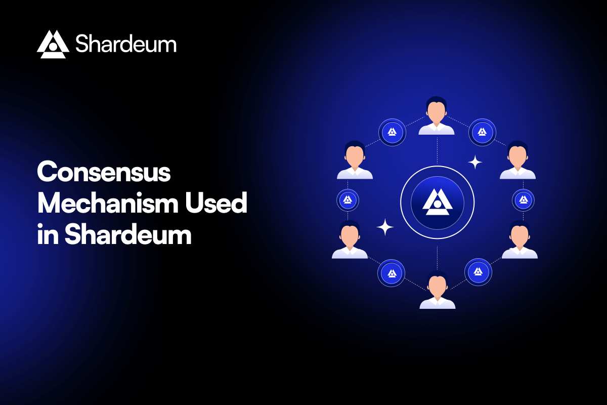 Consensus Mechanism Used in Shardeum