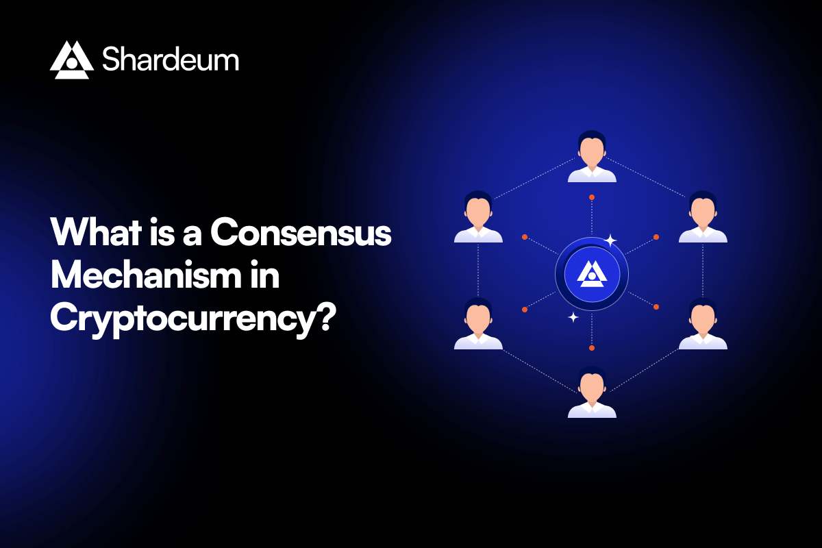 What is Consensus in Cryptocurrency?