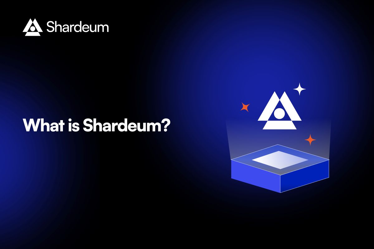 What is Shardeum?