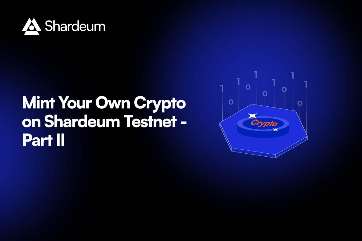 How to Mint Your Own Crypto on Shardeum Testnet – Part 2