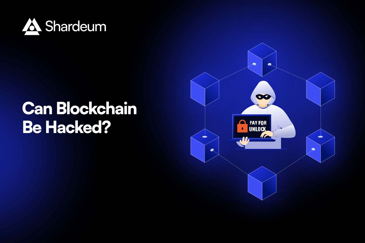 Exploring Blockchain Vulnerabilities: Can It Be Hacked?