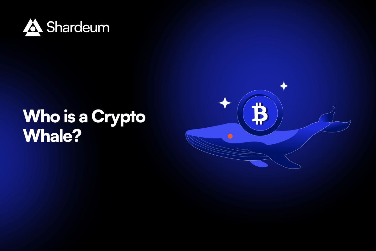 What is a Crypto Whale & Why do They Matter? 