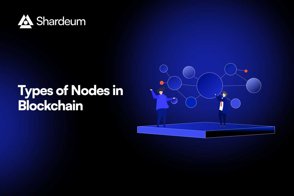 Different Types of Blockchain Nodes – A Guide