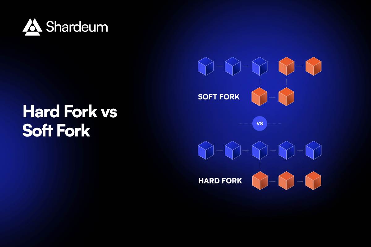 Soft Fork vs Hard Fork – A Brief Comparison