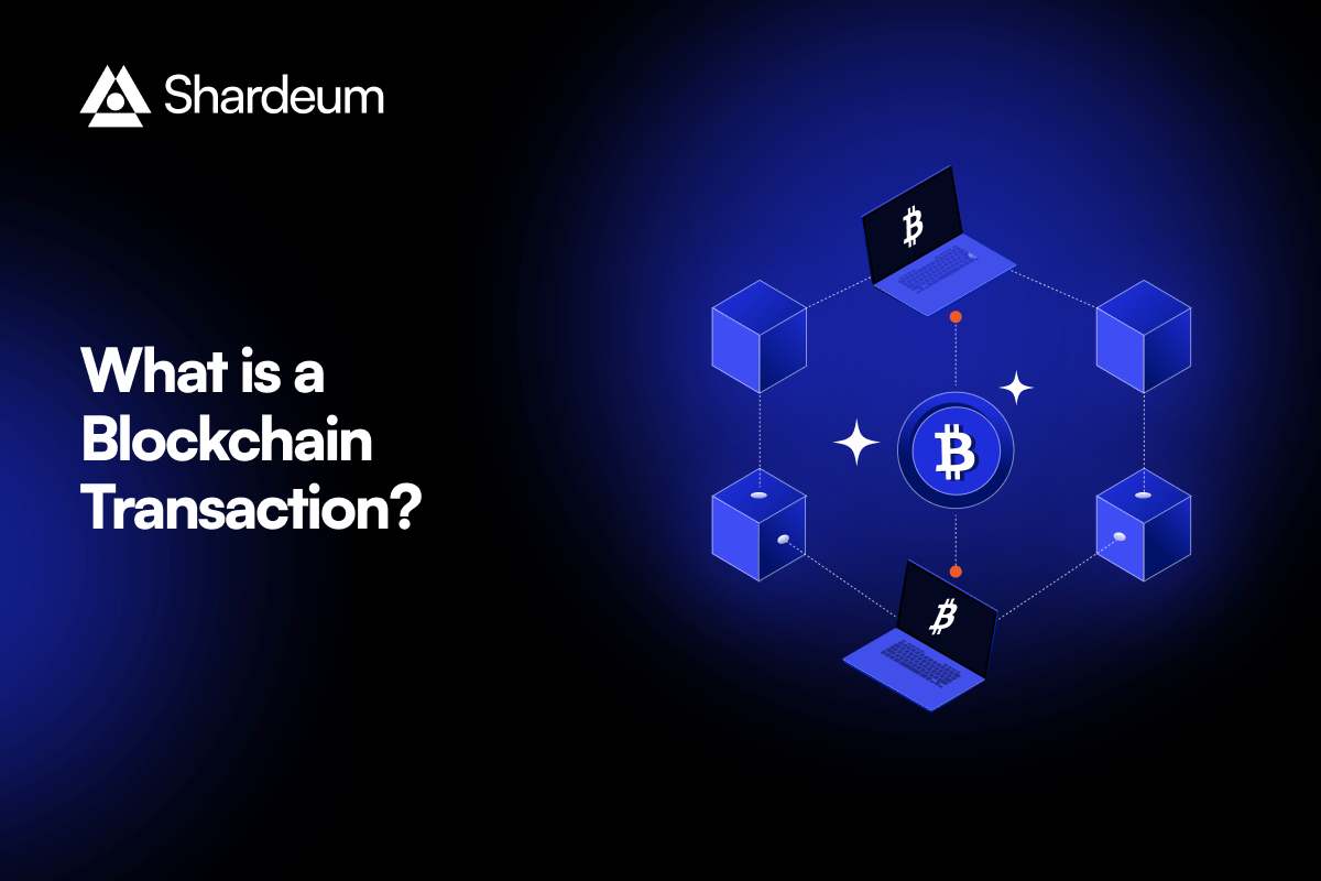 What is a Transaction in the Blockchain?