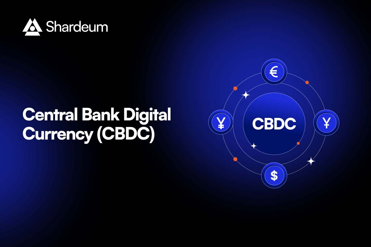 What is Central Bank Digital Currency? A Complete Guide