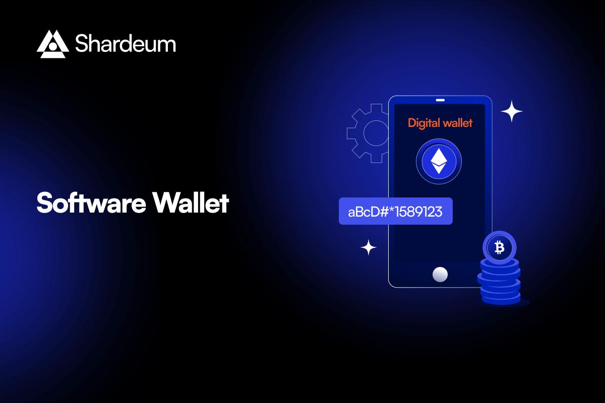 What is a Software Wallet?