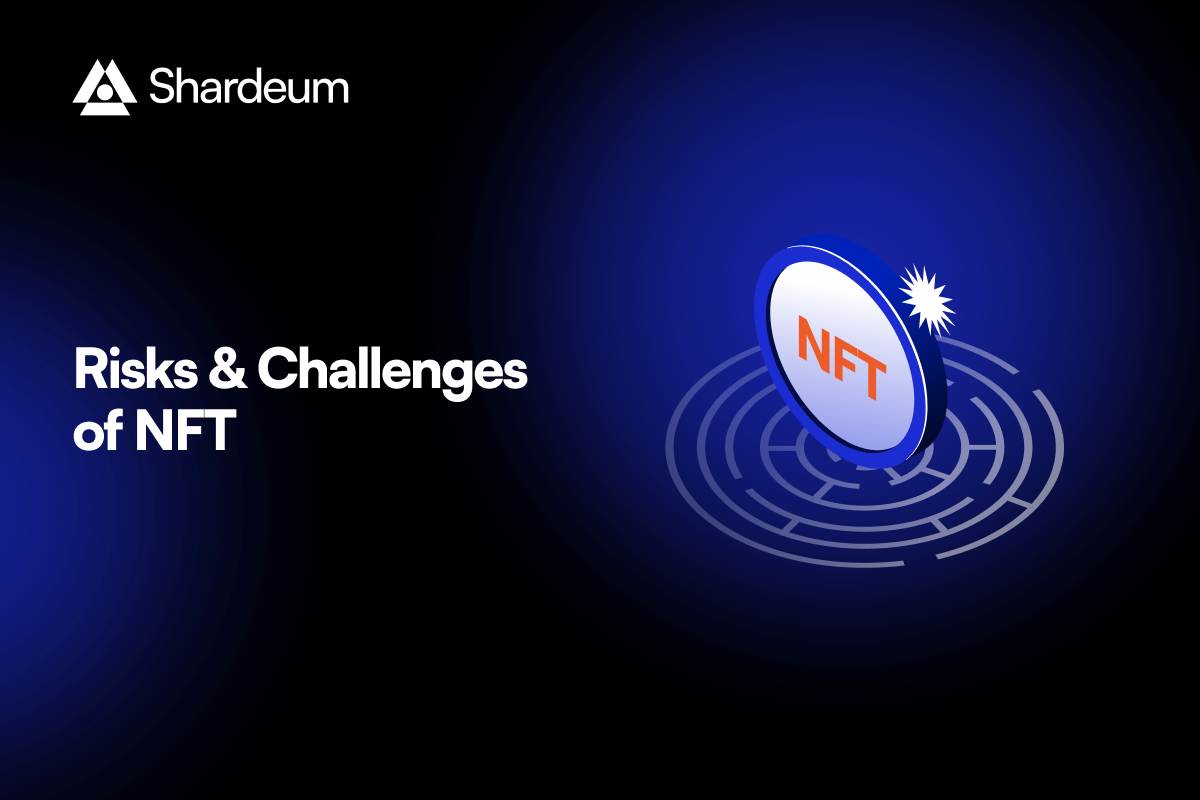 Challenges and Risks Associated With Non-Fungible Tokens (NFT)