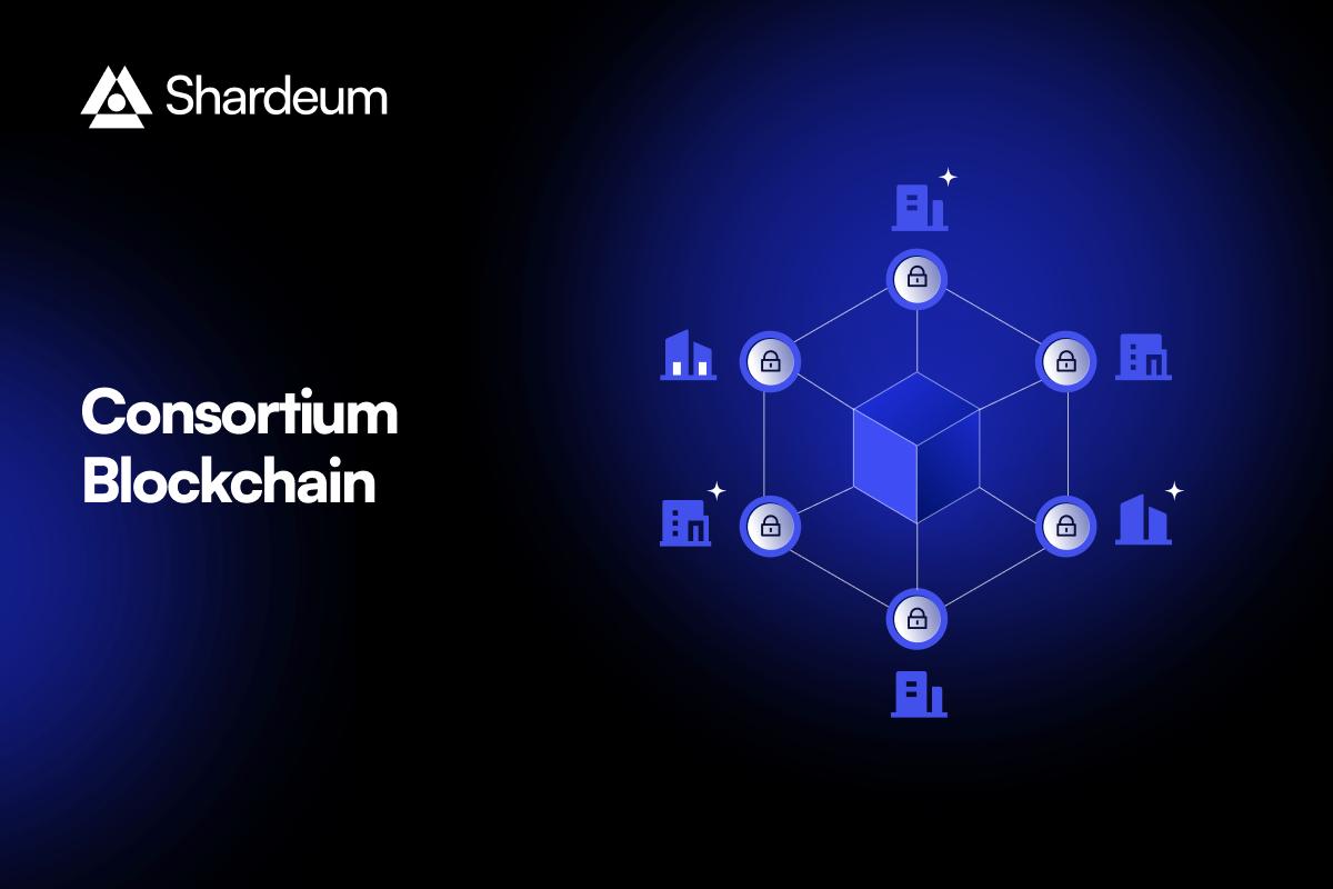 What is a Consortium Blockchain & How Does it Work?