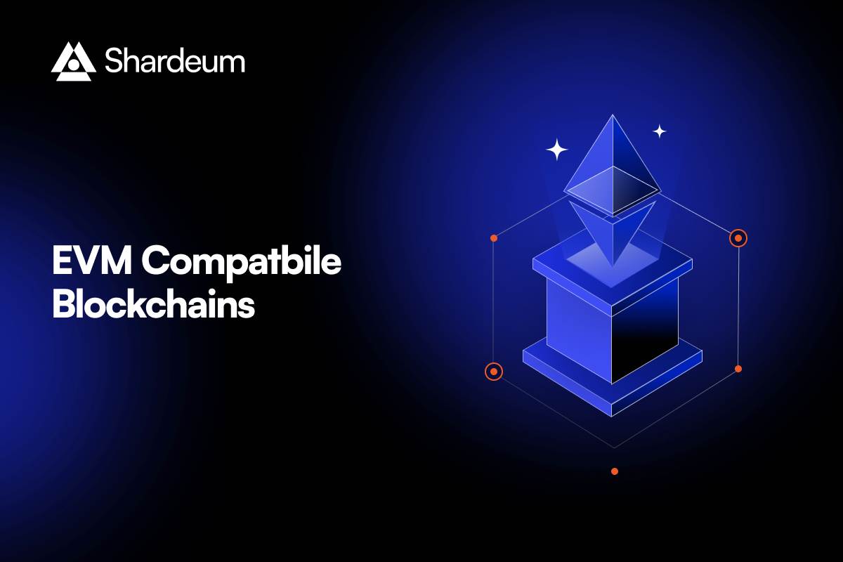 What are EVM Compatible Blockchains? A Complete Overview