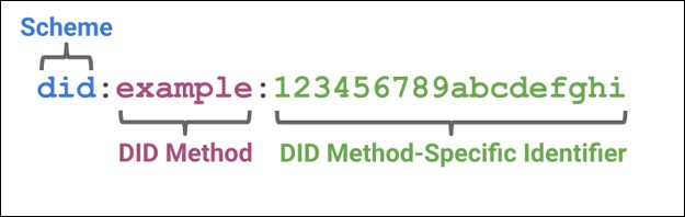 Basic Structure of DID