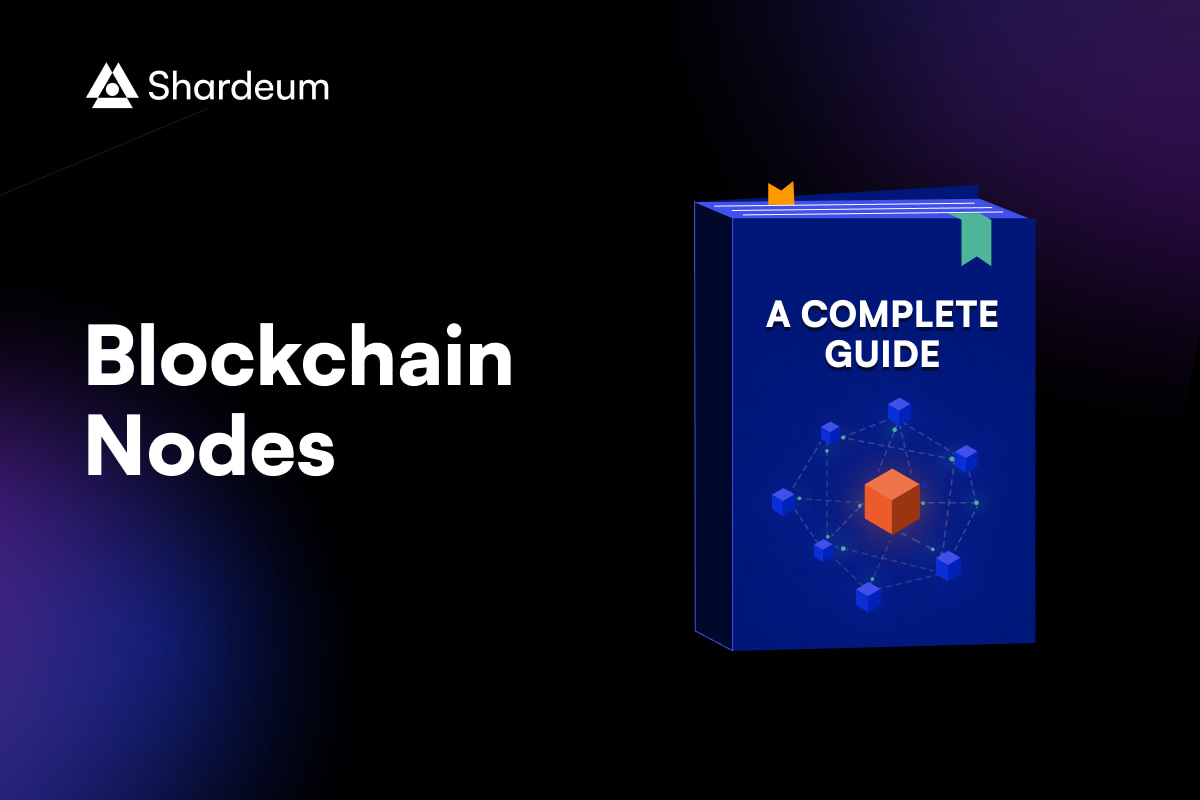 What are Blockchain Nodes? A Complete Guide