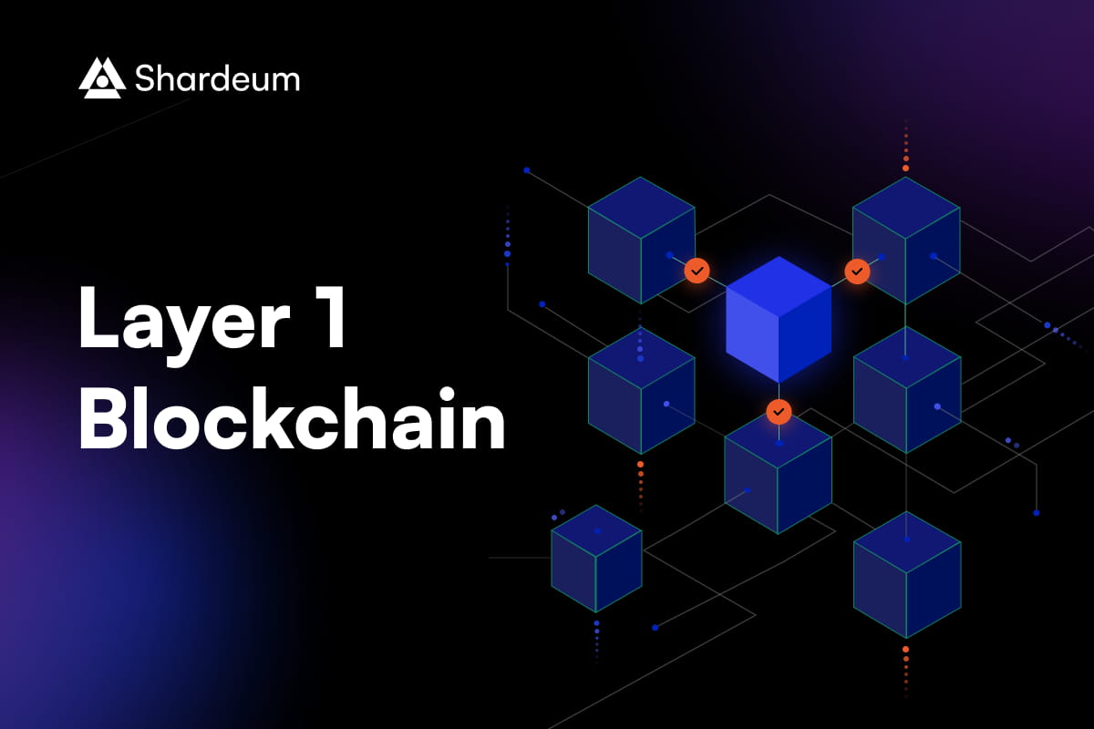 Layer 1 Blockchain (L1 Blockchain)