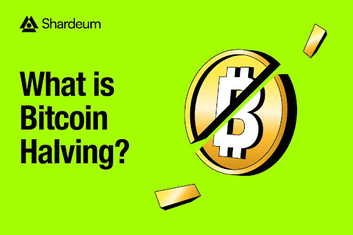 Bitcoin Halving Explained: Driving Scarcity and Value Surge