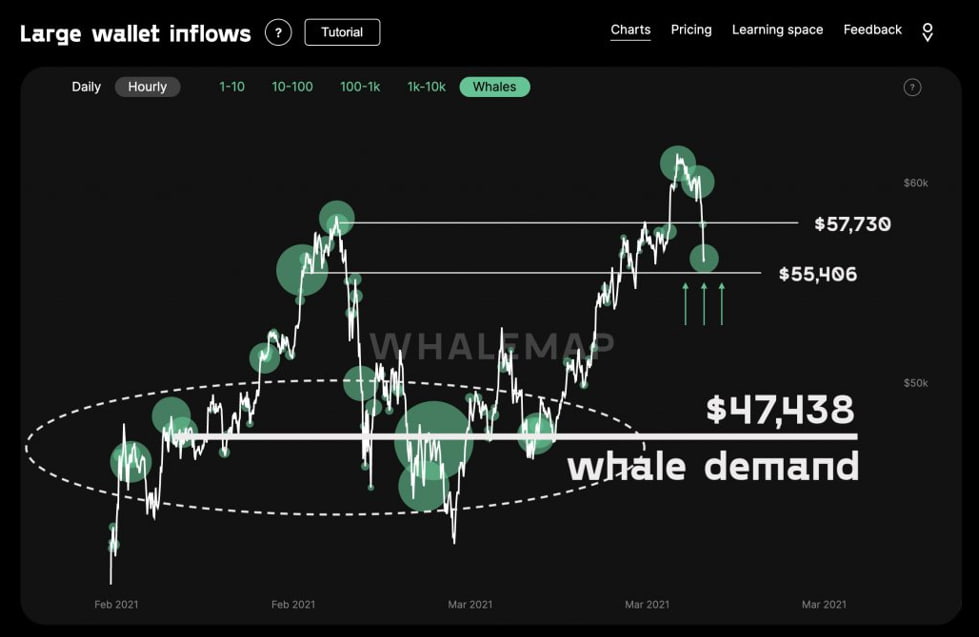 How To Become A Crypto Whale