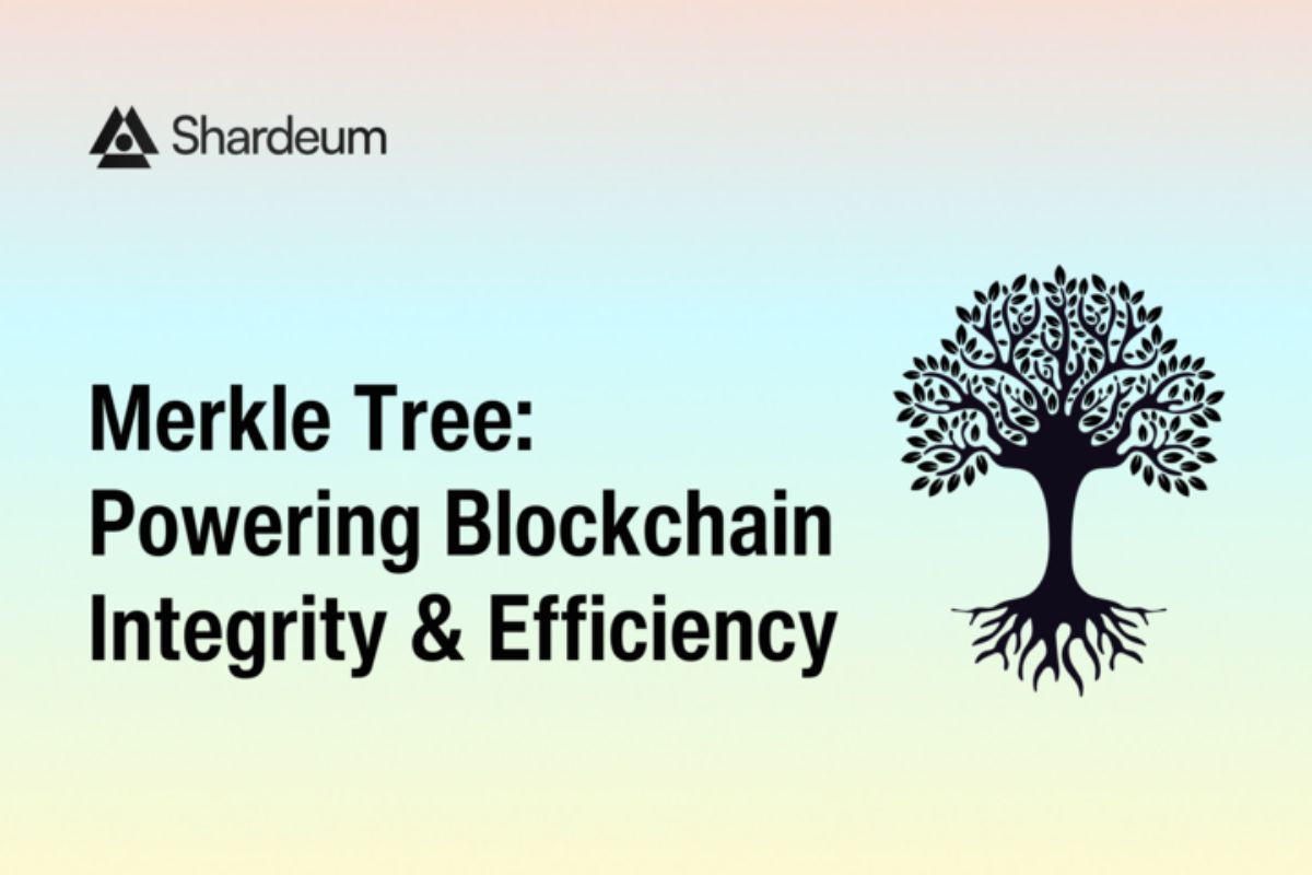 Merkle Tree: Powering Blockchain Integrity & Efficiency