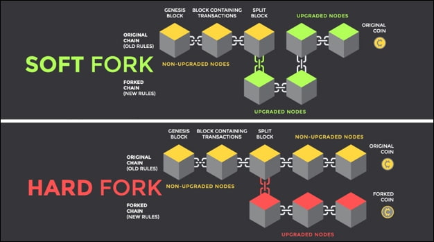 Soft Fork And Hard Fork