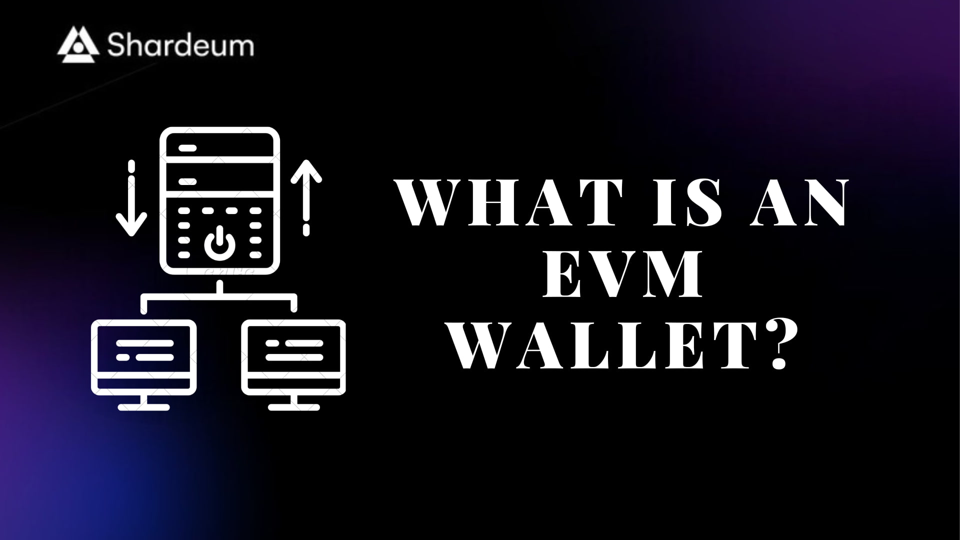 What is an EVM Wallet? – A Complete Guide