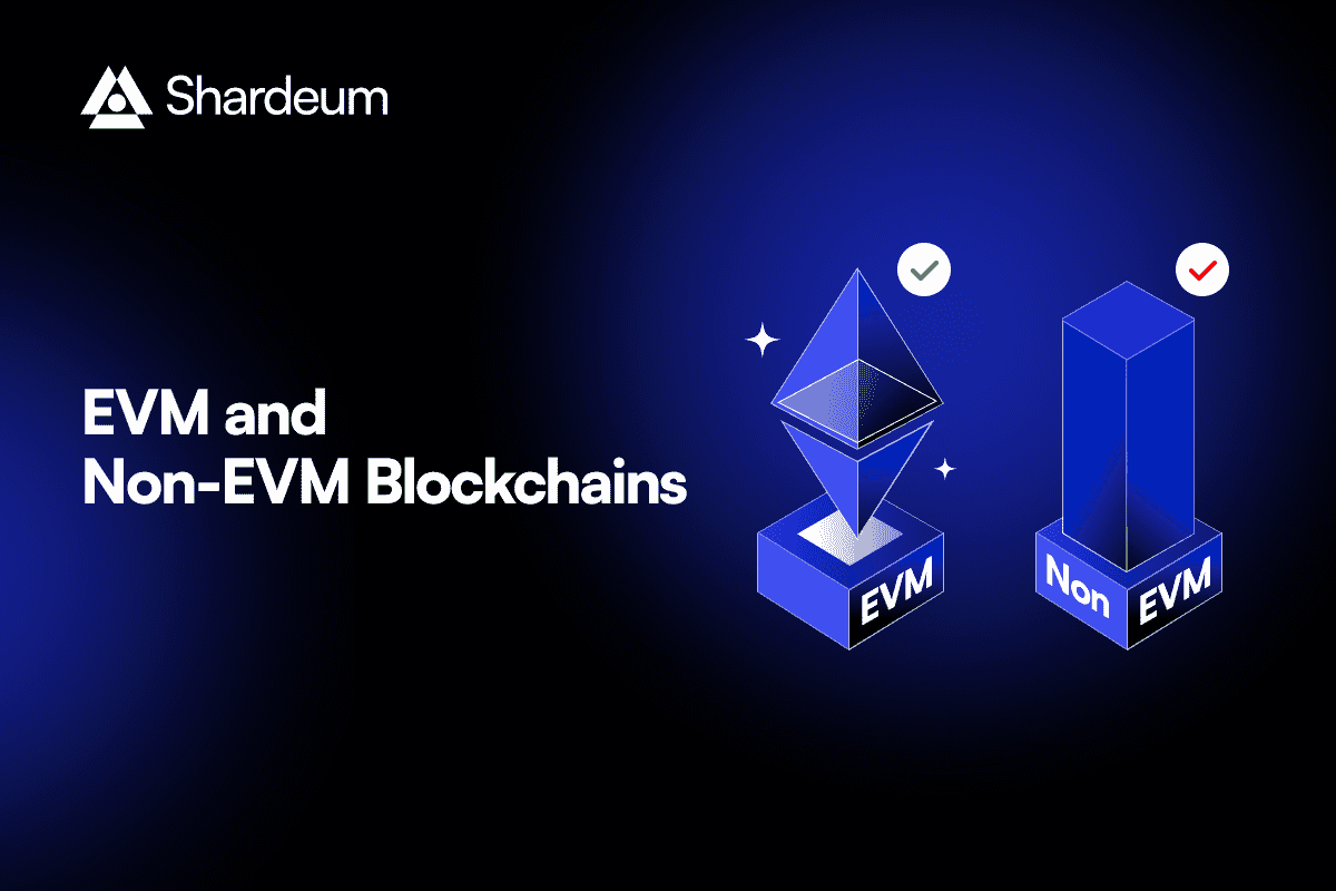 EVM and Non-EVM Chains: What is the Difference?