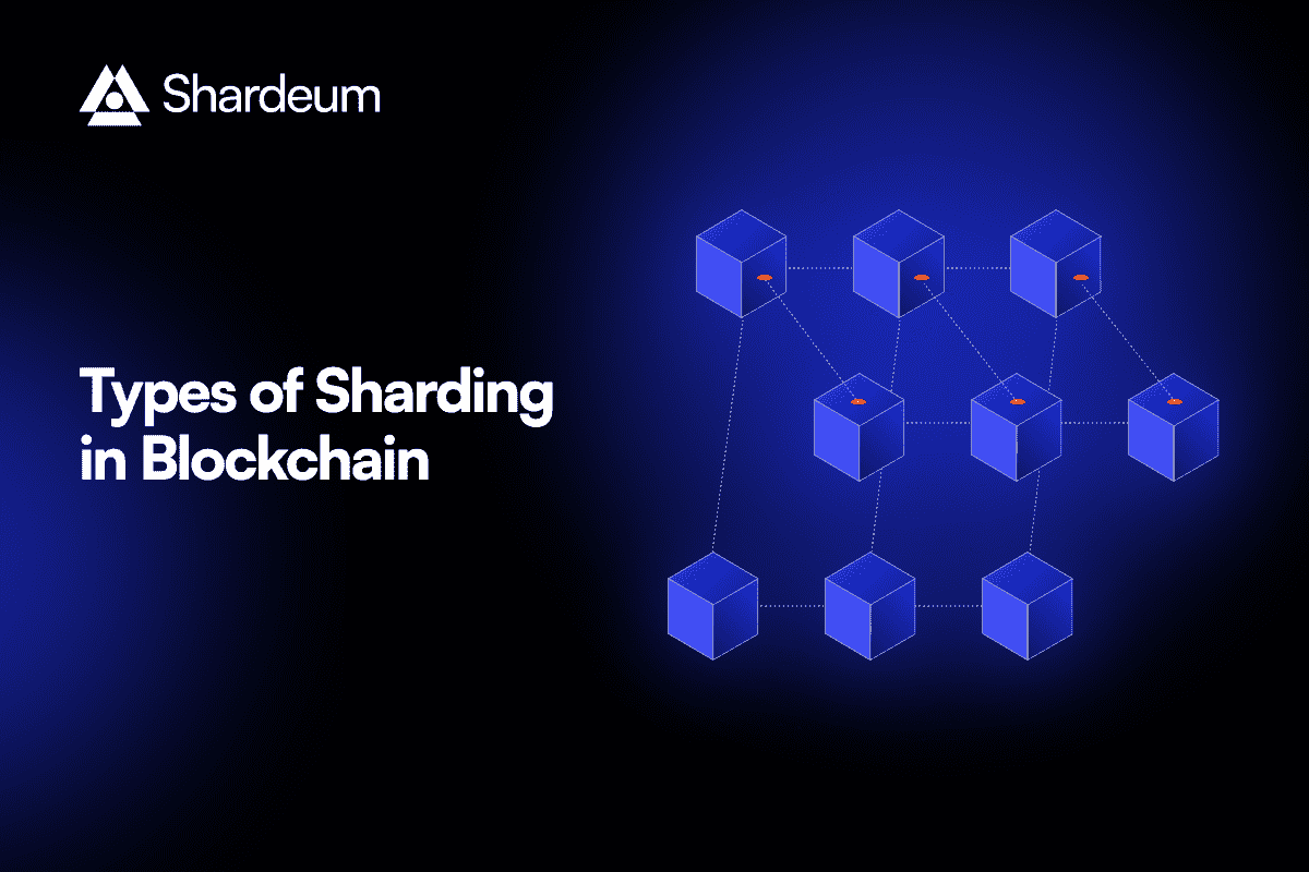 What are the Types of Sharding in Blockchain?