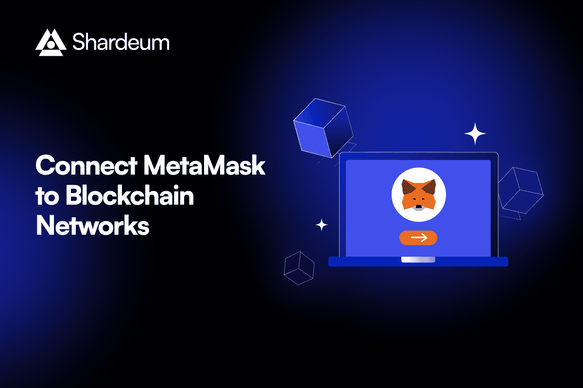 The Complete List of EVM Blockchains and How to Add EVM Network to Metamask