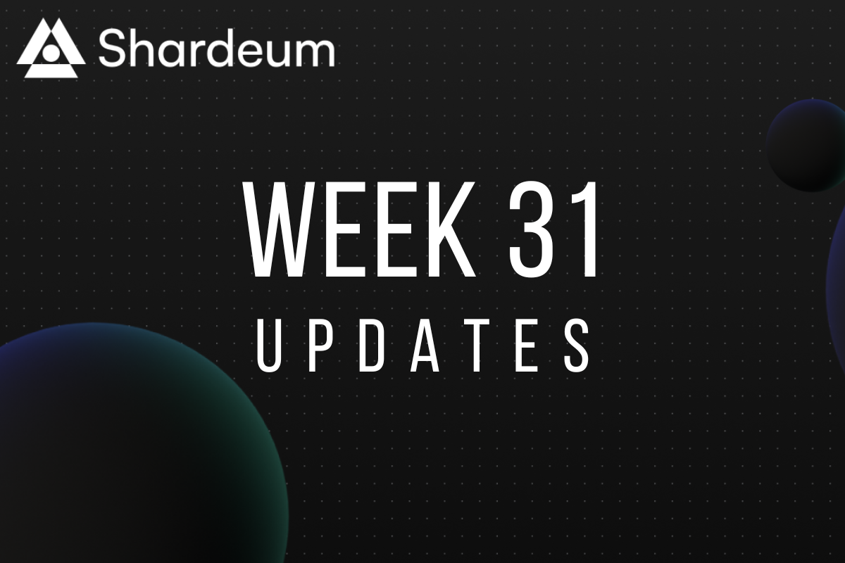 Shardeum Updates: Week 31